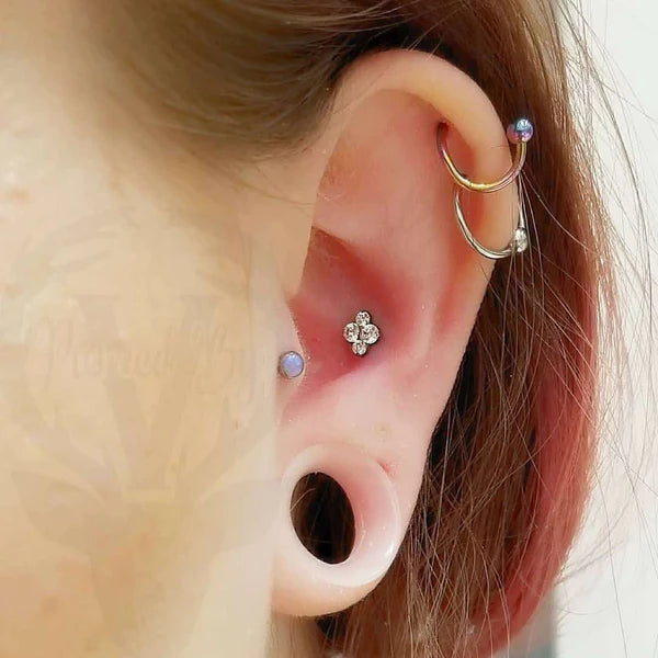 The Ultimate Guide to Double Helix Piercing: Everything You Need to Kn –  Pierced