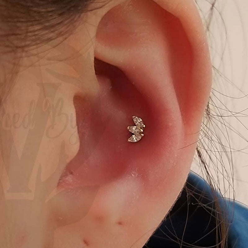 1 Conch Piercing 16y+in Mississauga + Excluding Jewelry