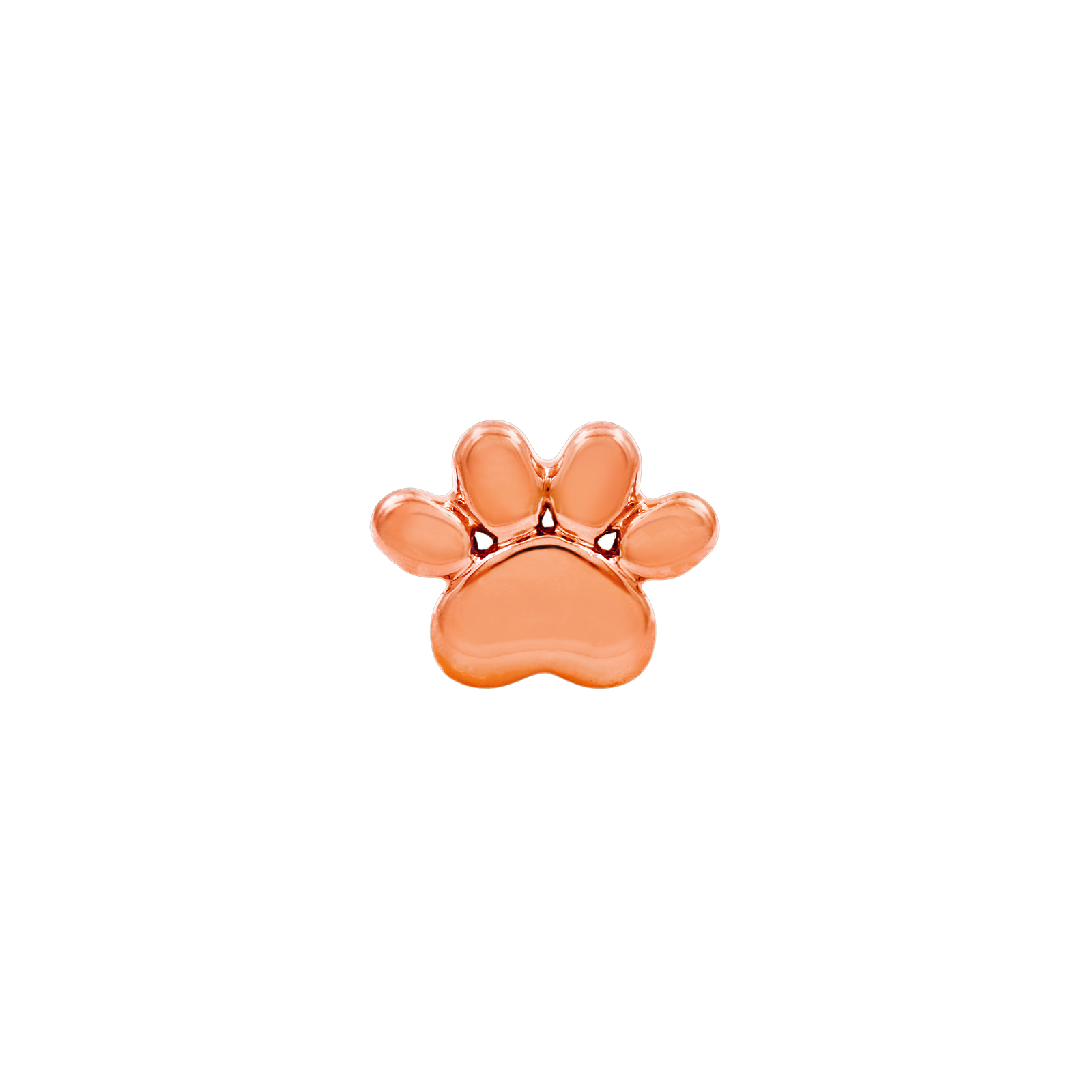 Dog Paw in 14k Gold by Junipurr