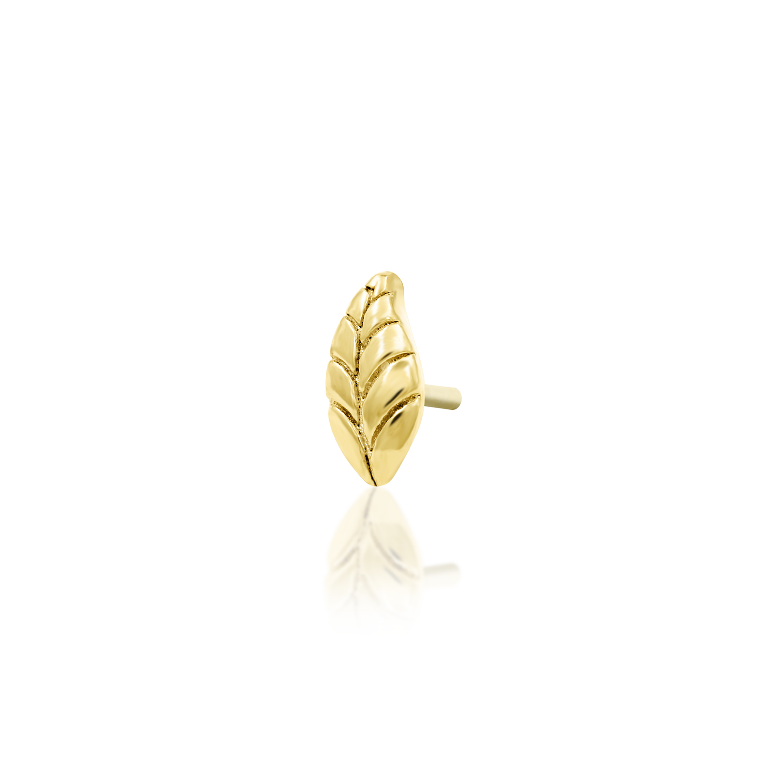 Bay Leaf in 14k Gold by Junipurr