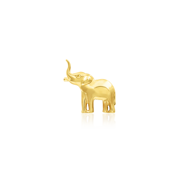 Elephant best sale daith earring
