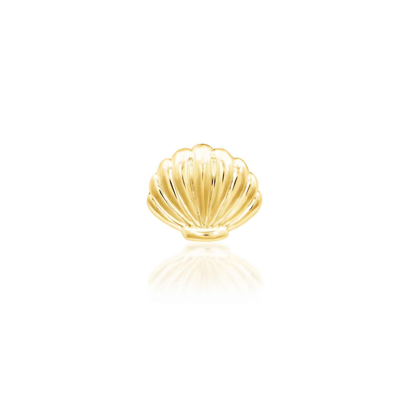 Shelldyn in 14k Gold by Junipurr