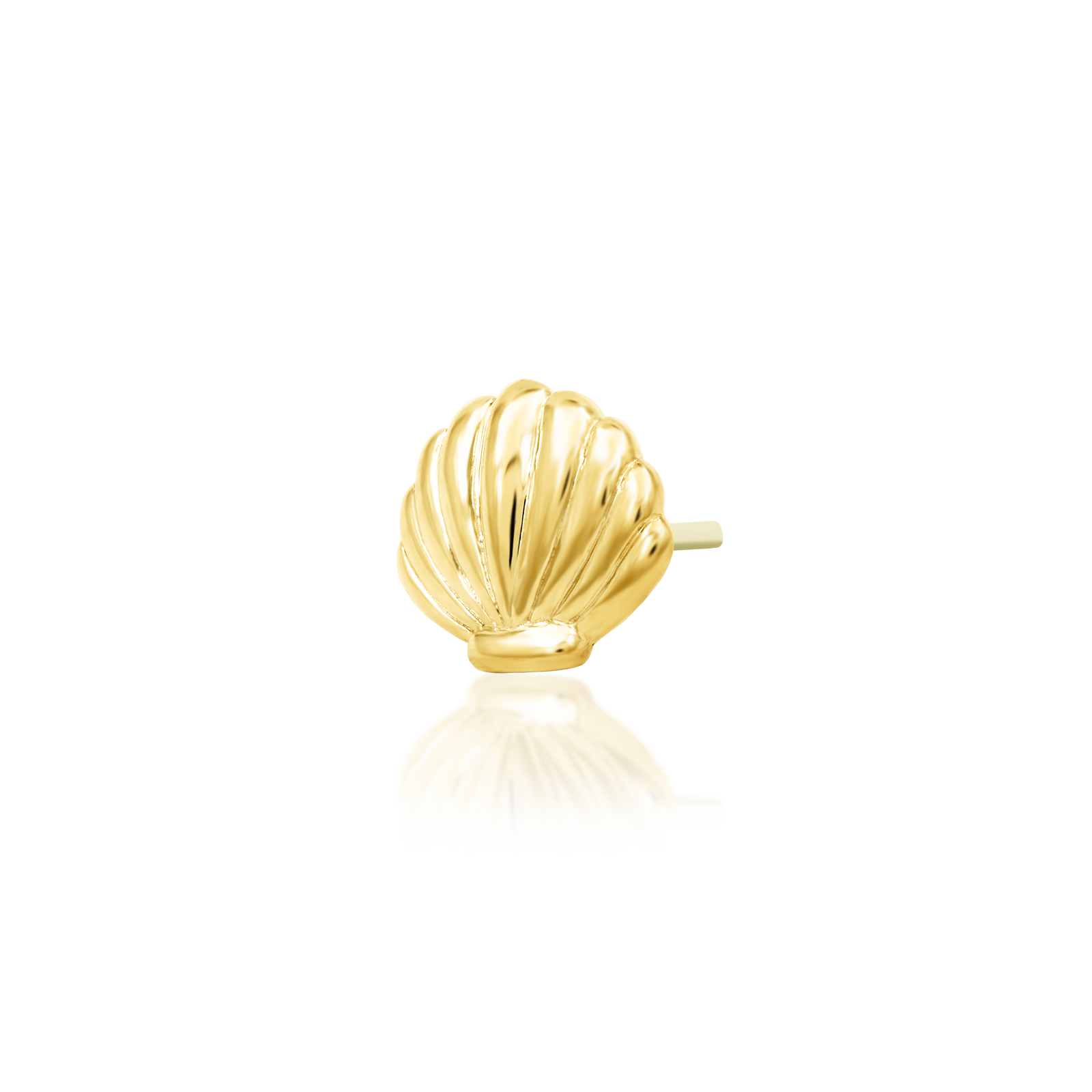 Shelldyn in 14k Gold by Junipurr
