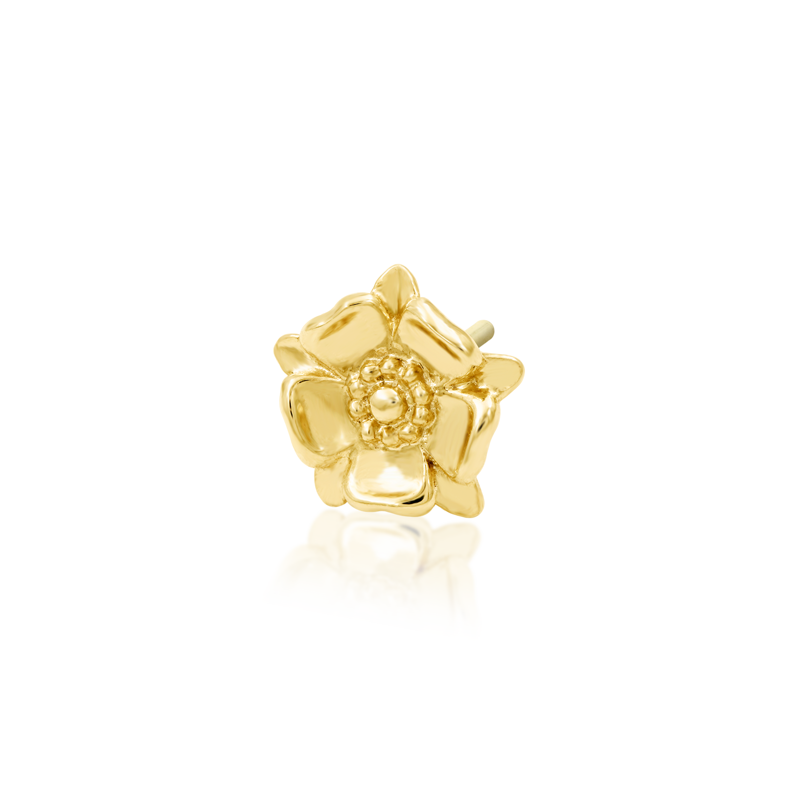 Shinier Than Thou in 14k Gold by Junipurr