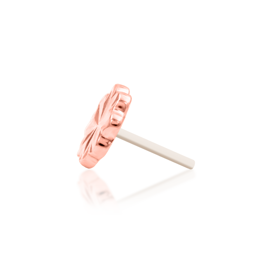 [LLOYD] 韓国☆14K GOLD☆Shining Flower Single Piercing Amazon.com: MeIighting Solid Gold Flower Nose Stud 20G Gold