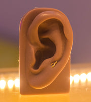 Wishbone in 14k Yellow Gold by Junipurr