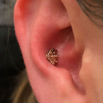 1 Conch Piercing 16y+in Mississauga