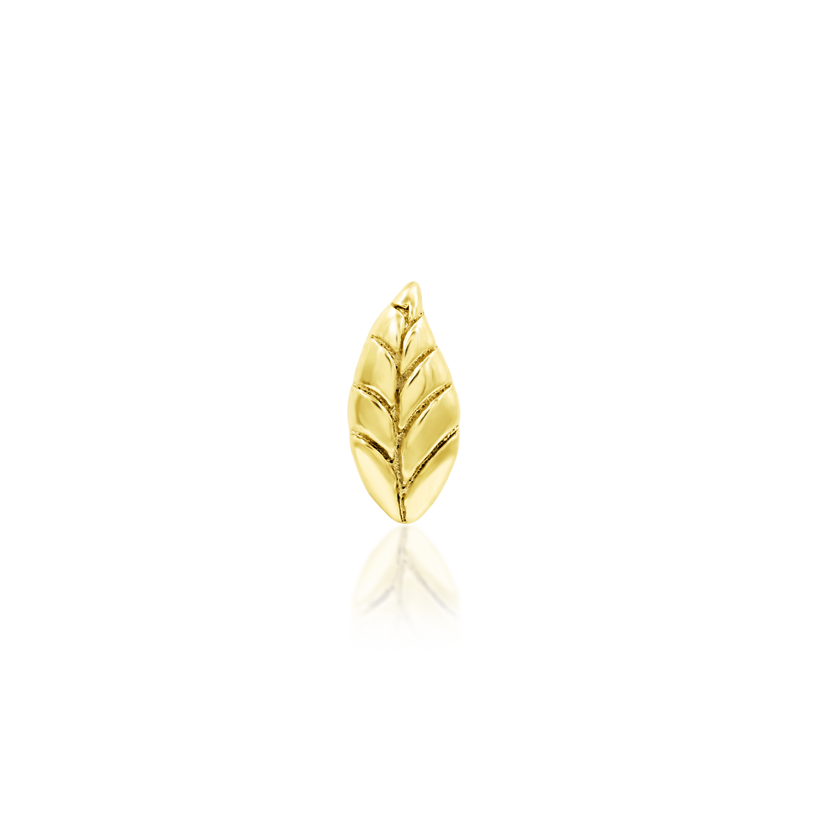 Bay Leaf in 14k Gold by Junipurr