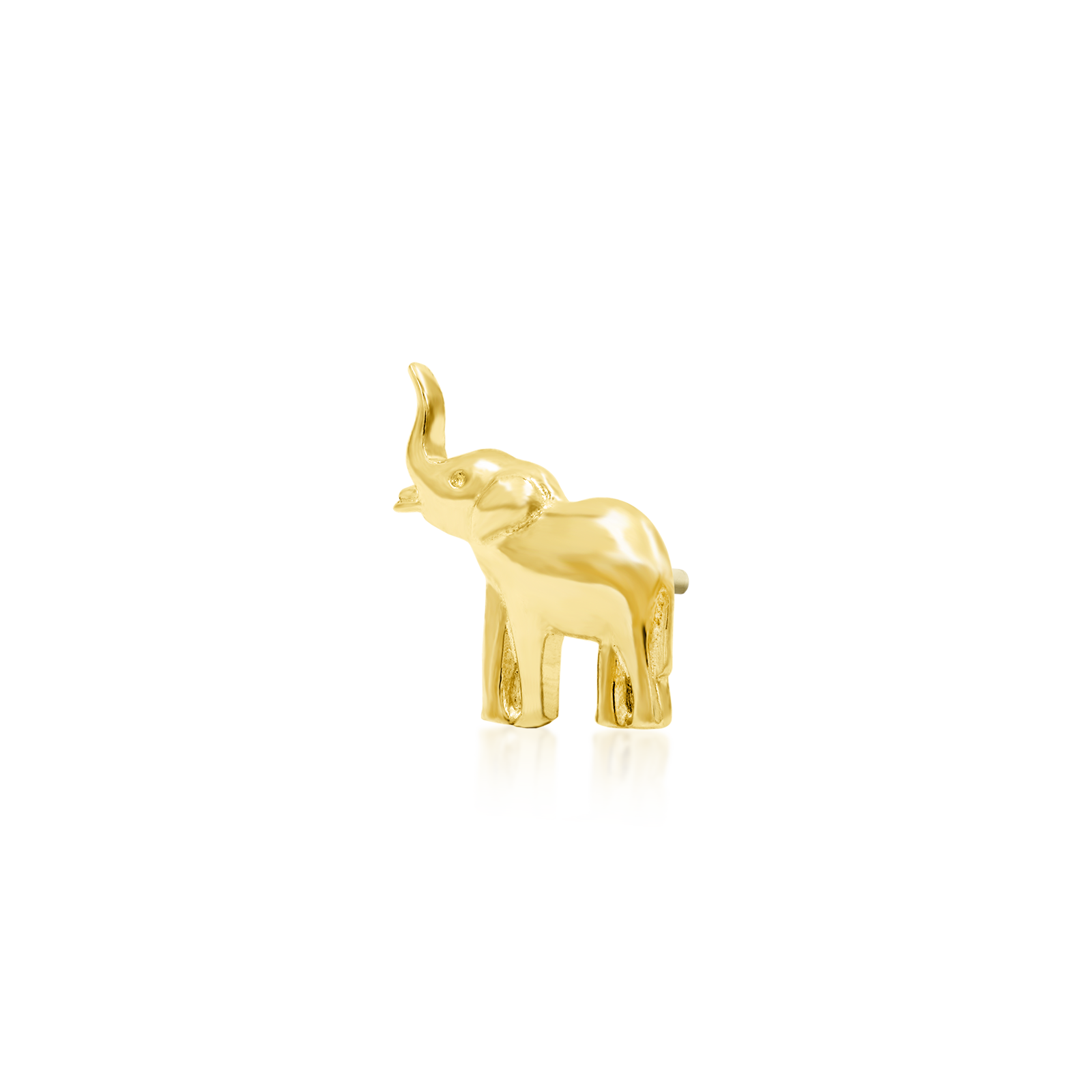 Elephant best sale daith earring